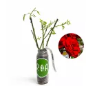 Ruža Floribunda Red