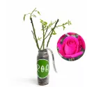 Čajová ruža Pink