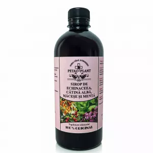 Sirup z echinacea, rakytníka, šípky a mäty