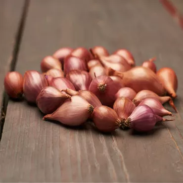 Cibuľa červená Rosanna