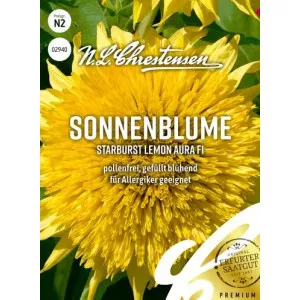 Dekoratívna slnečnica Starburst Lemon Aura F1
