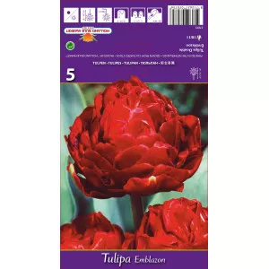 Tulipány plnokvetý Emblazon