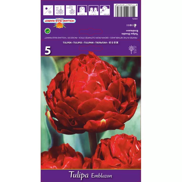 Tulipány plnokvetý Emblazon