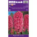 Hyacint Pink Pearl