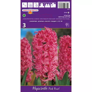 Hyacint Pink Pearl
