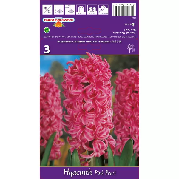 Hyacint Pink Pearl