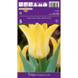 Tulipány ľaliovitý Ballade Gold