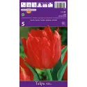 Tulipány dvojité Abba