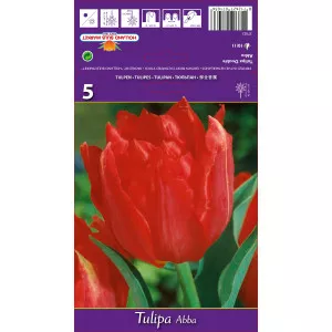 Tulipány dvojité Abba