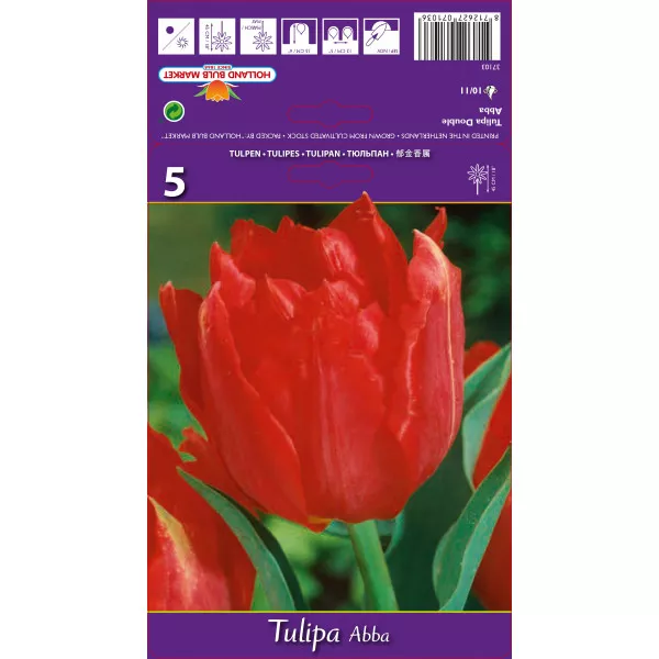 Tulipány dvojité Abba