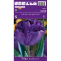 Tulipány plnokvetý Blue Diamond