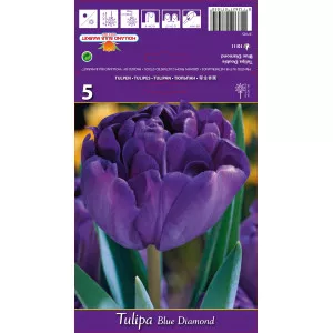 Tulipány plnokvetý Blue Diamond