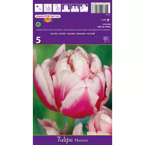 Tulipány plnokvetý Horizon