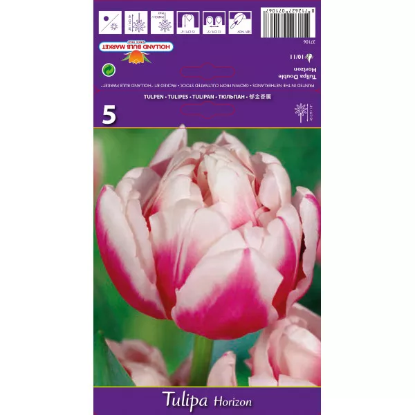 Tulipány plnokvetý Horizon