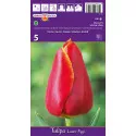 Tulipány Triumph Laura Fygi
