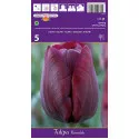 Tulipány Triumph Ronaldo