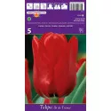 Tulipány Triumph Ile de France