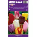 Tulipány Triumph mix kolorów