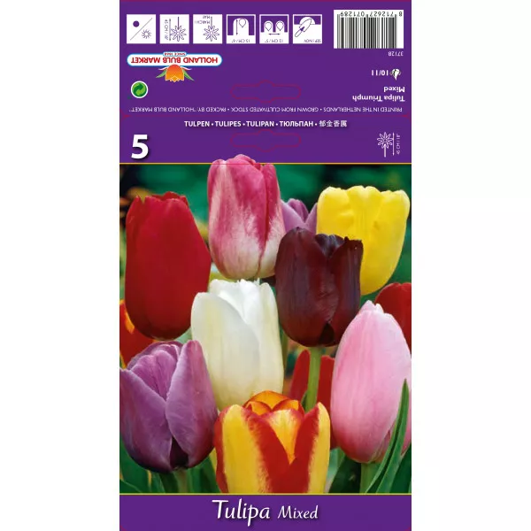 Tulipány Triumph mix kolorów
