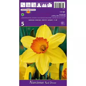 Narcis veľkokalichový Red Devon