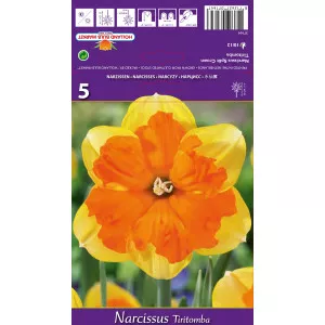 Narcis Tiritomba