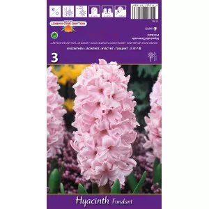 Hyacint Fondant
