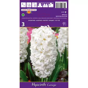 Hyacint Carnegie
