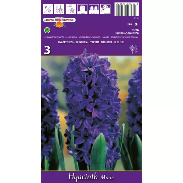 Hyacint Marie