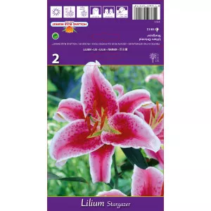 Orientálna ľalia Stargazer