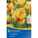 Tulipány Monsella