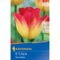Tulipány Suncatcher