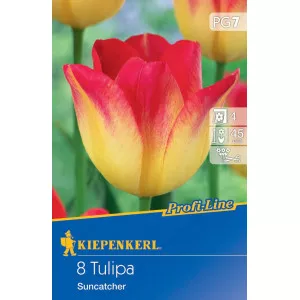 Tulipány Suncatcher