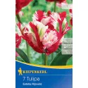 Tulipány Estella Rijnveld