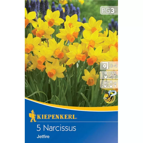 Narcisy Jetfire