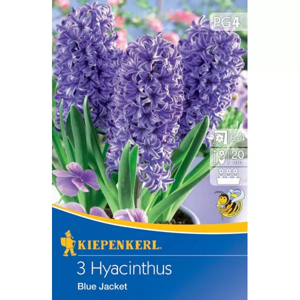 Hyacint Blue Jacket