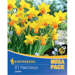 Mega Pack Narcisy Jetfire