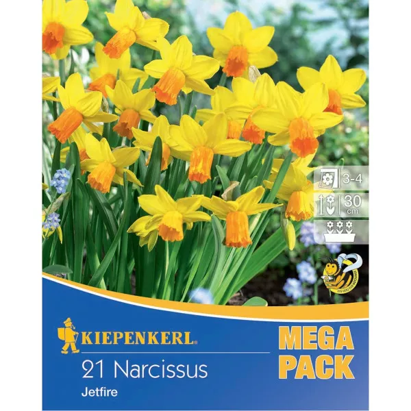 Mega Pack Narcisy Jetfire