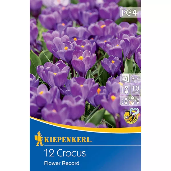 Krokus Flower Record