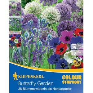 Kvetinové cibuľky Butterfly Garden