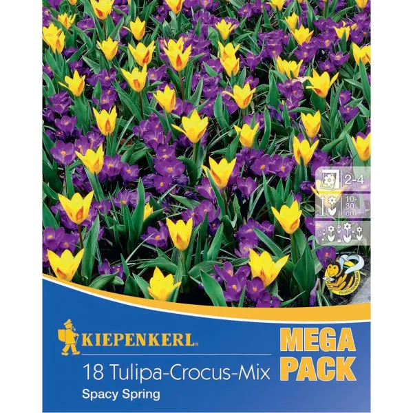 Mega Pack Krokus Spacy Spring viacfarebná zmes