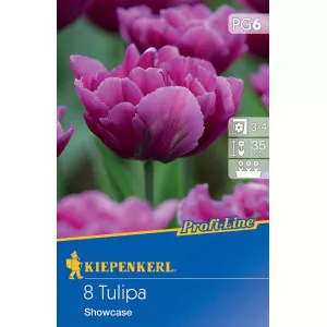 Tulipány Showcase