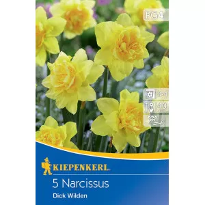 Narcisy Dick Wilden
