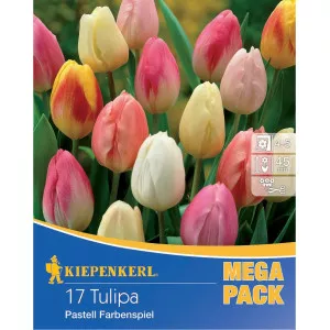 Mega Pack Pastell viacfarebná zmes