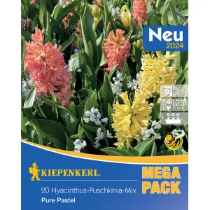 Mega Pack Hyacint Pure Pastel viacfarebná zmes