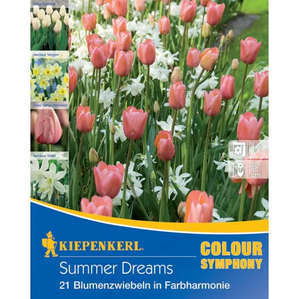 Kvetinové cibuľky Summer Dreams