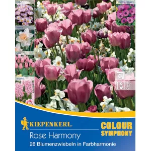 Kvetinové cibuľky Rose Harmony