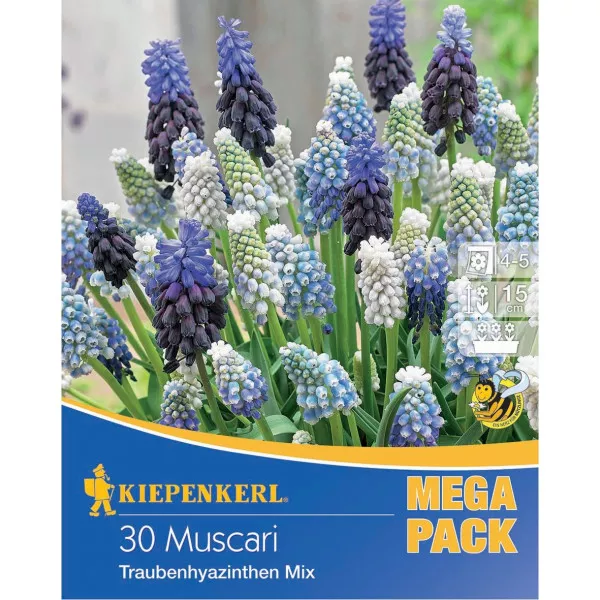 Mega Pack Modrica viacfarebná zmes