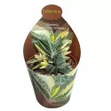 Gasteria (Gasteria verrucosa variegata) v črepníku ø 6,5 cm
