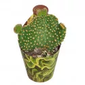 Kaktusy (Opuntia microdasys undulata) v črepníku ø 6,5 cm