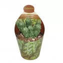 Peperomia (Peperomia columella) v črepníku ø 6,5 cm